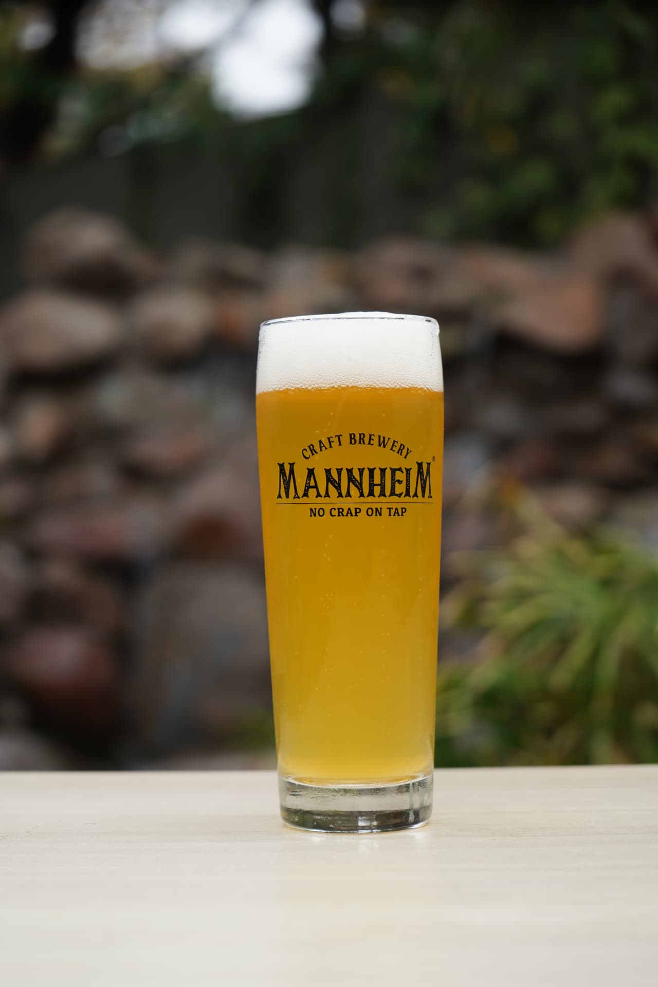 Mannheim lager in a tall branded glass