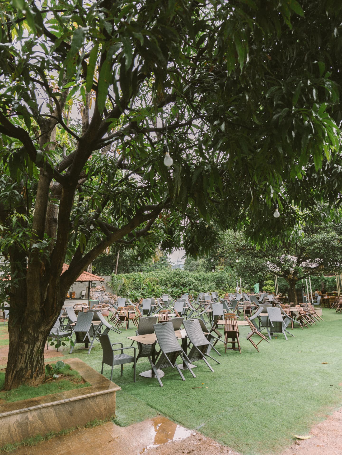 The open lawn scattered with tables and chairs